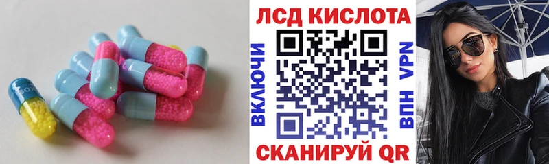 дарнет шоп  hydra рабочий сайт  Лсд 25 экстази ecstasy  Кашин 