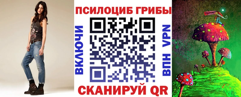 Галлюциногенные грибы мухоморы  сайты даркнета телеграм  Кашин 